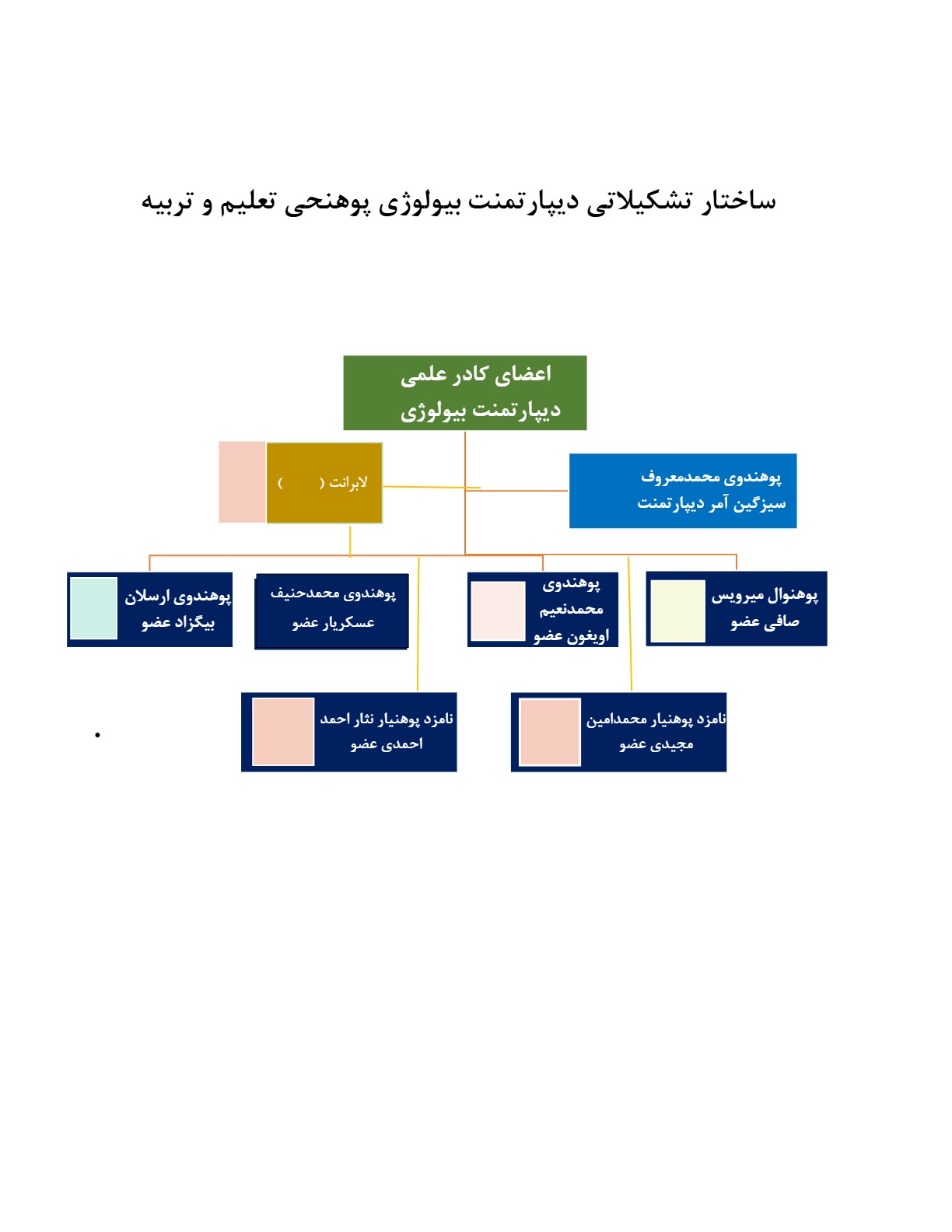 چارت تشکیلاتی دیپارتمنت بیولوژی